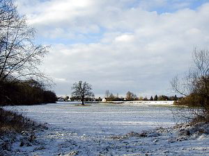 Felder im Schnee